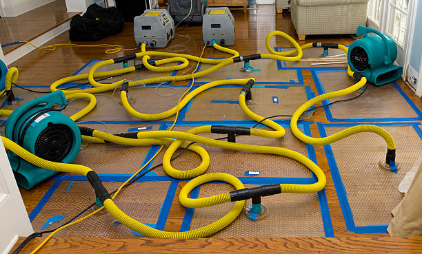 Professional Crawl Space Water Removal technician working in Pelham, NY